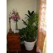 Gallery Image Number 2