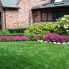 Green Planet Landscaping & Painting