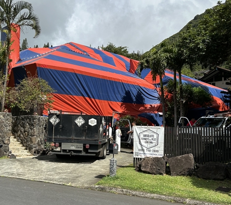 Absolute Termite & Pest Control Hawaii - Kapolei, HI