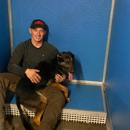 ARETE Bold K9 Solutions - Dog Training