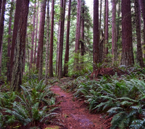 South Whidbey State Park - Freeland, WA