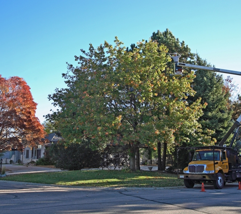 Mountain High Tree Lawn & Landscape - Lakewood, CO. Another bucket job.