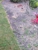 Cheepway Tree Service - Tree Service