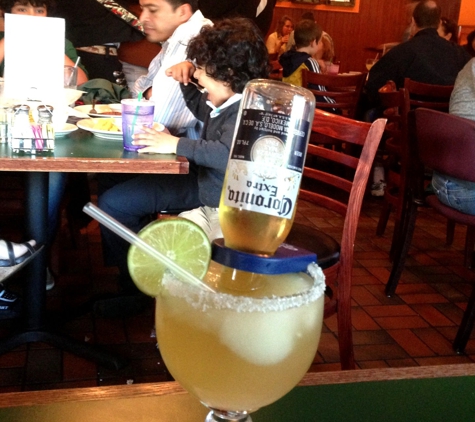 El Tio Grill - Falls Church, VA