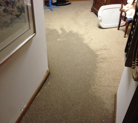 The Water Damage Pros - Olathe, KS