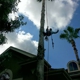 ortega's tree services