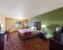 Econo Lodge - Motels