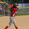 Whaling City Youth Baseball League gallery