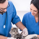 Willow Run Veterinary Clinic - Veterinarian Emergency Services