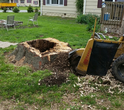 Dan Thomas Tree Works & Bucket Truck Ser - Brookfield, MO