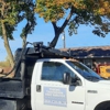 Thieme Takedown Tree Service LLC gallery