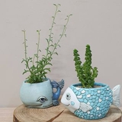 Gallery Image Number 8