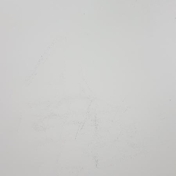 Gallery Image Number 6