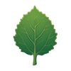 Aaspen Tree Service gallery