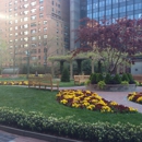 Sutton Terrace