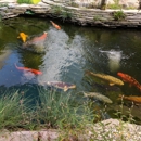 Michigan Koi Risher's Farm Prd - Shopping Centers & Malls