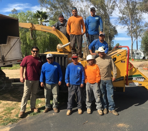 Top Notch Tree Care, Inc. - Escondido, CA