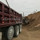 Cardoza Trucking - Trucking-Light Hauling