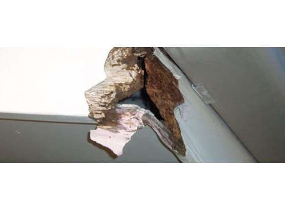 Be Sure Building & Pest Inspections - Rural View, QLD