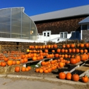 Cider Hill Farm - Orchards