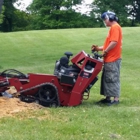 Colter's Tree Service