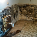 All American Remediation, LLC