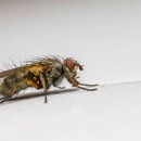 Best Pest Control - Pest Control Equipment & Supplies