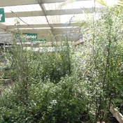 Gallery Image Number 5