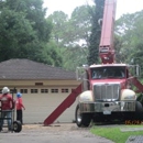 Champions Tree Preservation - Tree Service