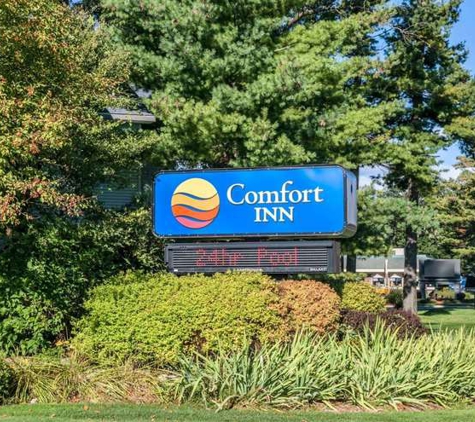 Comfort Inn Traverse City - Traverse City, MI