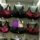 Lane Bryant