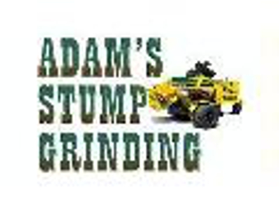 Adam's Stump Grinding, Tree Stump Removal - Chatham, IL