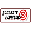 Accurate Plumbers Of Florida Inc - Leak Detecting Service