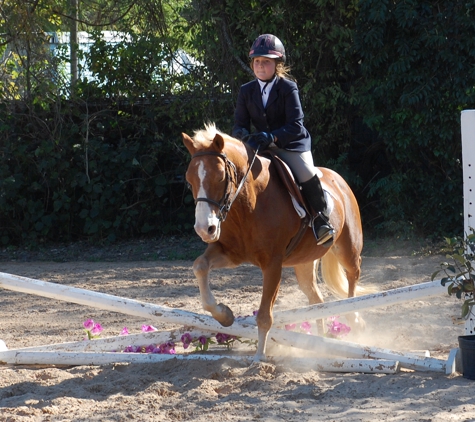 Southern Breeze Equestrian Center - Fresno, TX