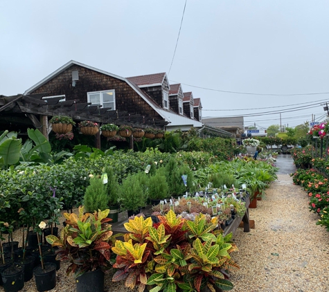 Sunset Farm Market - Ocean, NJ