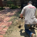 Emergency Plumbing Systems LLC