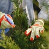 Relief Pest Solutions gallery