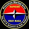 Precision Martial Arts gallery