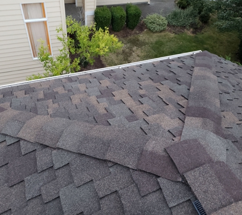 Eco Square Roofing - Bellevue, WA