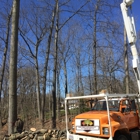 A&S TREE SERVICE,LLC