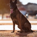 Southwest Oklahoma K9 Training Academy - Dog Training