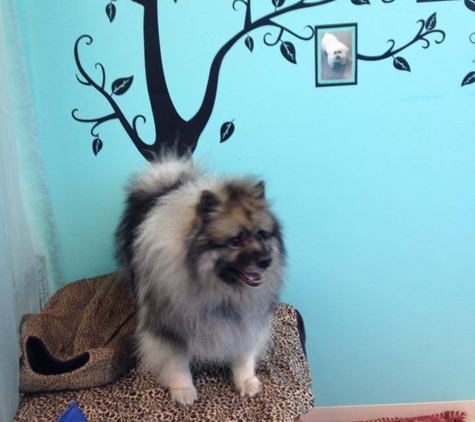 Wagging Tailz Pet Spa & Lounge - Sacramento, CA