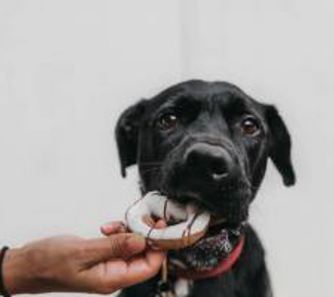 Amber Leaf Animal Hospital - Winfield, IL