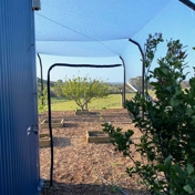 Gallery Image Number 4