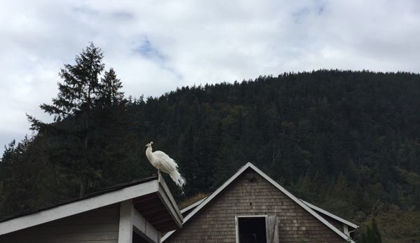 Fox Hollow Farm - Issaquah, WA