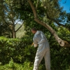 Mid-South Extreme Pest Control gallery