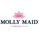 Molly Maid of the Midlands and Columbia - Building Cleaning-Exterior