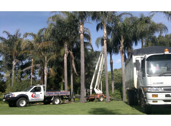 Total Tree Services - Mount Rascal, QLD