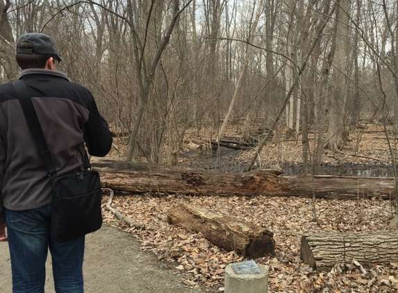 Dinosaur Hill Nature Preserve - Rochester, MI