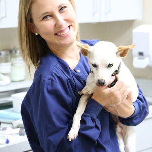 Southern Regional Veterinary Specialists - Dothan, AL